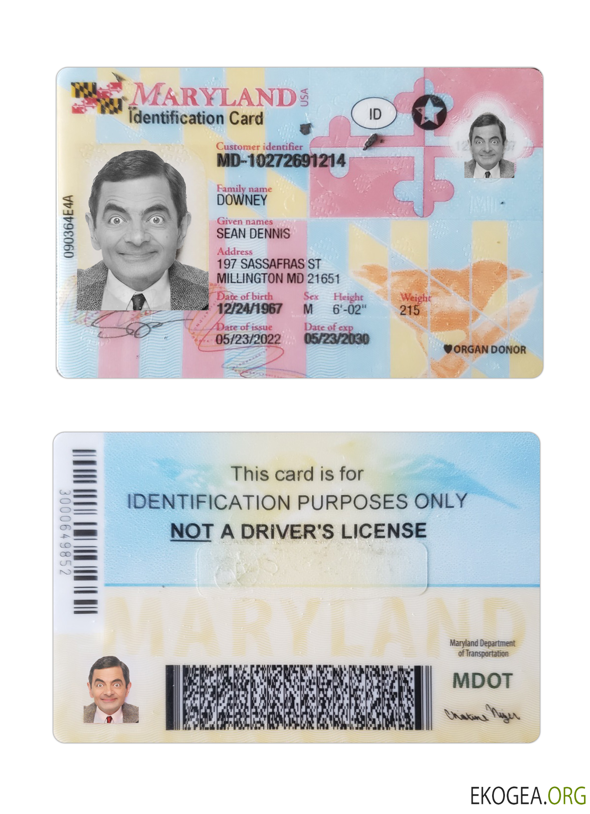 Carte d'identité du Maryland aux États Unis